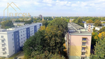 Mieszkanie Wynajem Łódź Łódź-Bałuty Chryzantem